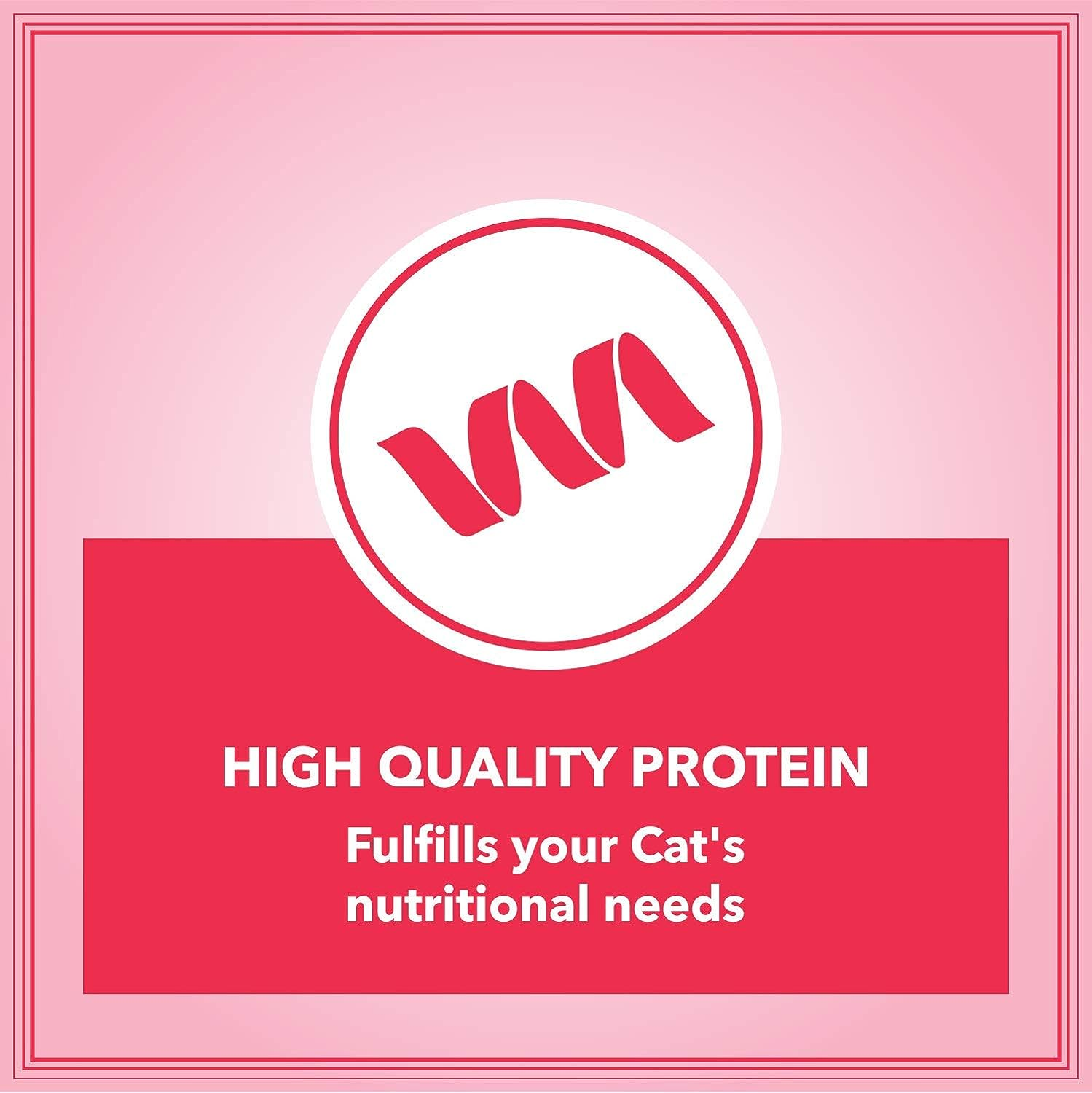 Let's Bite Active cat Food for Adults (400G X 4 Packs). 