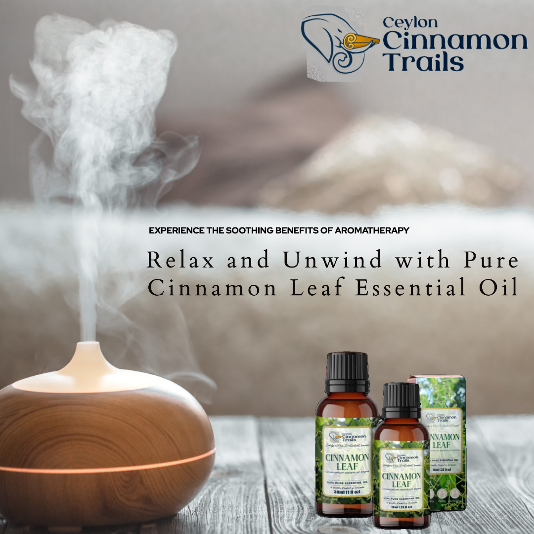 100% Pure Ceylon Cinnamon Leaf Essential Oil for Aromatherapy and Home Fragrance - 10ml / 30ml Euro dropper. 