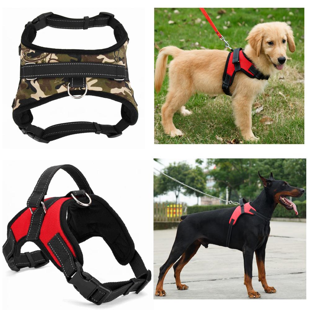 Senior pet dog store harness