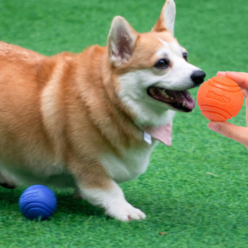 Pet Dog Bouncy Ball Bite-resistant Rubber Toy Dog Chew Toys Outdoor Throwing Training For Dogs. 
