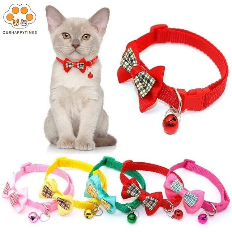 Cheap kitten clearance accessories