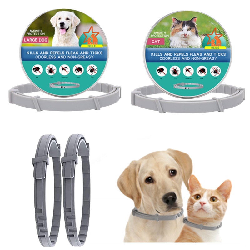 Flea collar for outlet big dogs