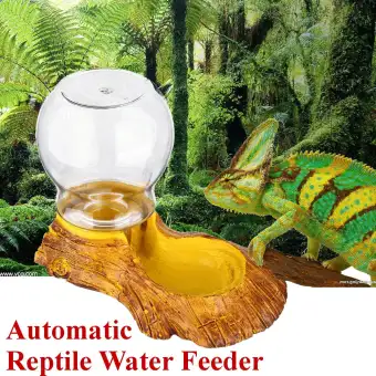 Reptile Amphibians Automatic Tortoise Basin Lizard Bowl Water