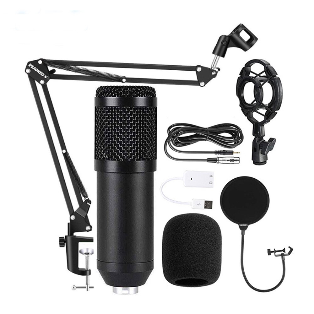 Firewings Professional bm800 Condenser Microphone Voice Recording ...