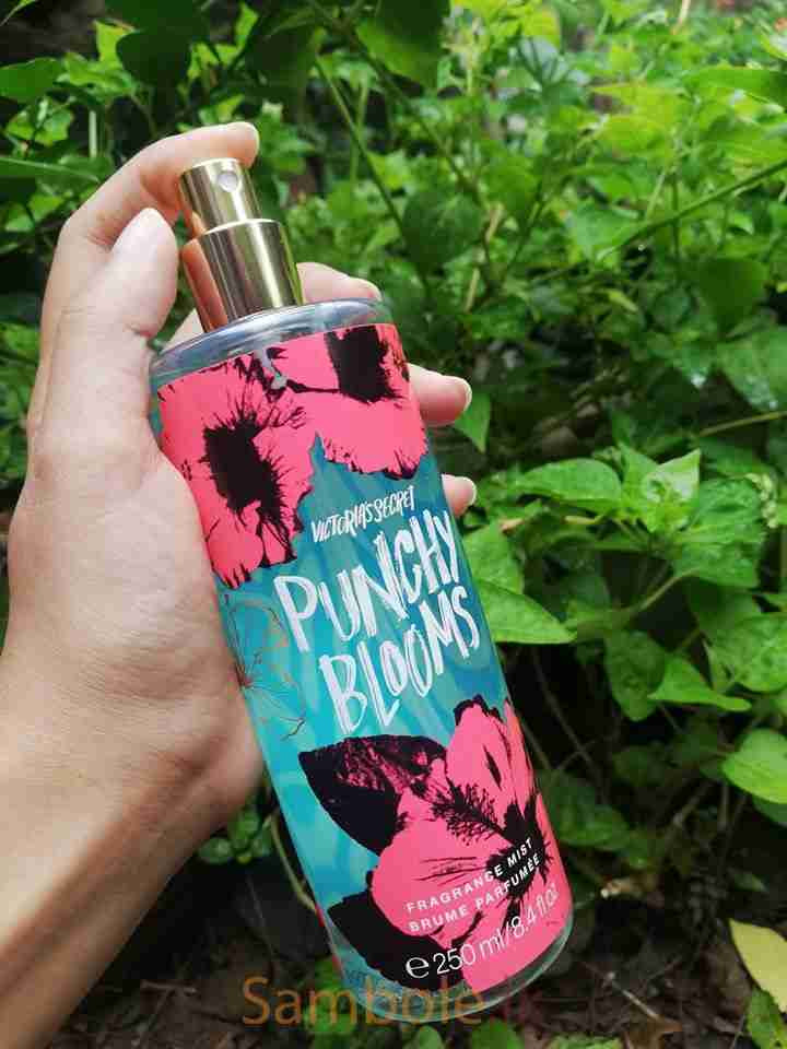 punchy blooms victoria secret spray