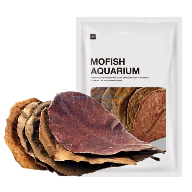 Betta Fish/Shrimp Leaves Indian Catappa Almonds Naturally Leaves for Fish Tanks Long Dried Leaf for Betta Breeding