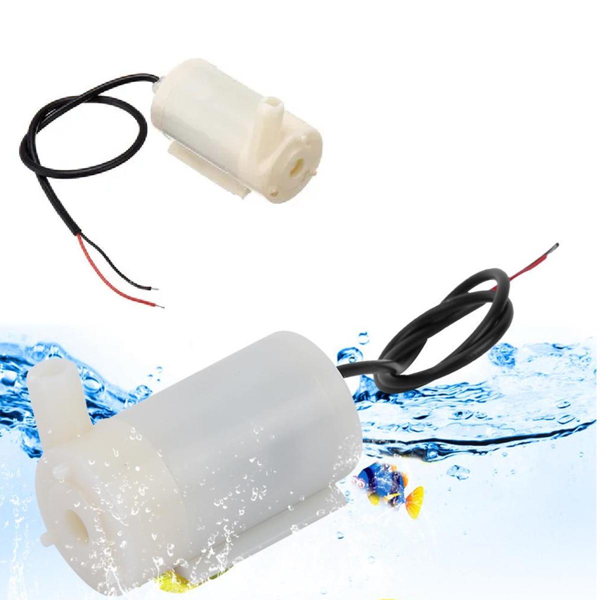 Fish Price in Sri Lanka Buy Aquarium Fish Online Daraz.lk