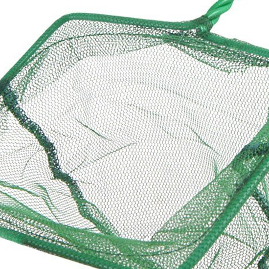 FISH Net M (6' X 8') inches Medium | Daraz.lk FISH Net M (6' X 8') inches Medium | Daraz.lk