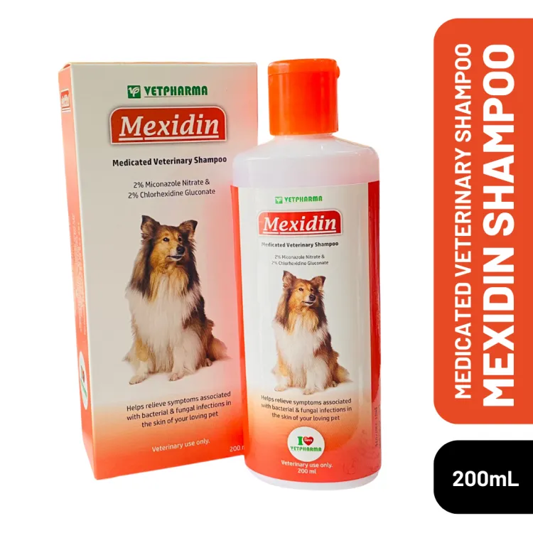 Seleen medicated clearance shampoo for dogs