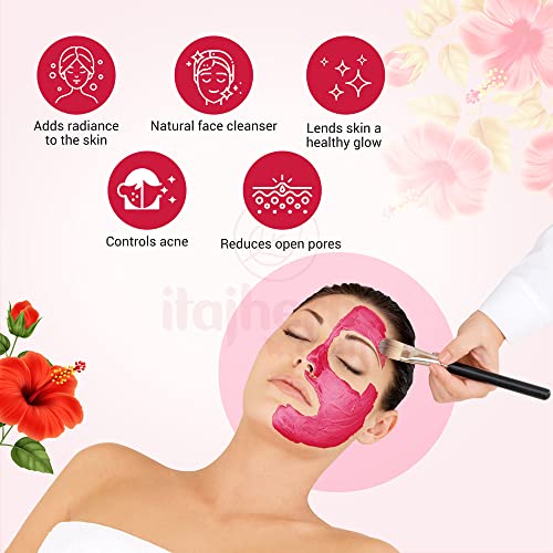 Gulmohar 100% Pure Organic Hibiscus Flower Powder For Hair care And Skin care - 100g (FROM INDIA) JEZ. 