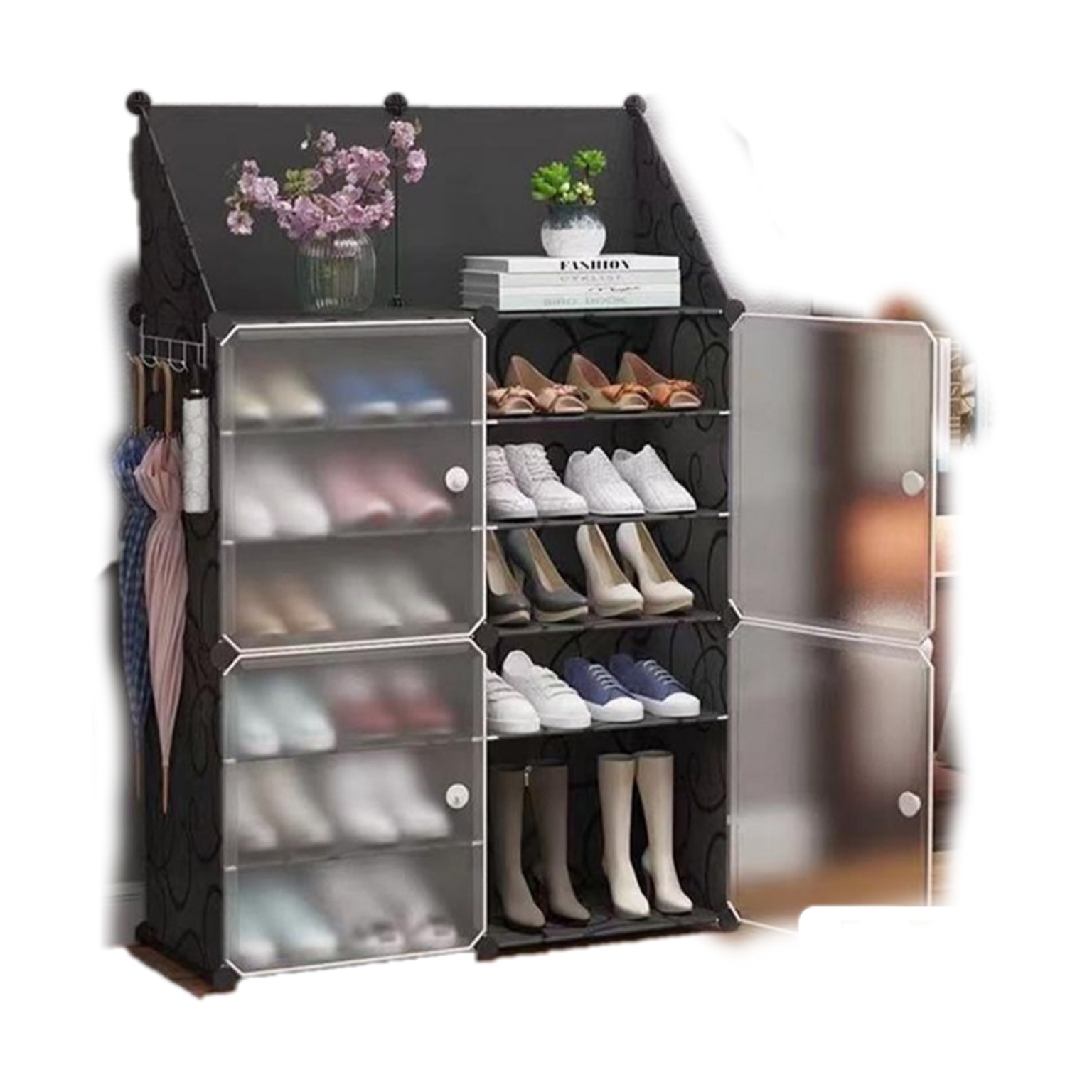 Transparent on sale shoe cabinet