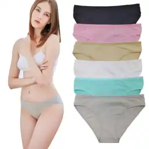 Nylon Elastane Plain Fashion Seamless Women Underwear - China Women  Underwear and Women Seamless Underwear price