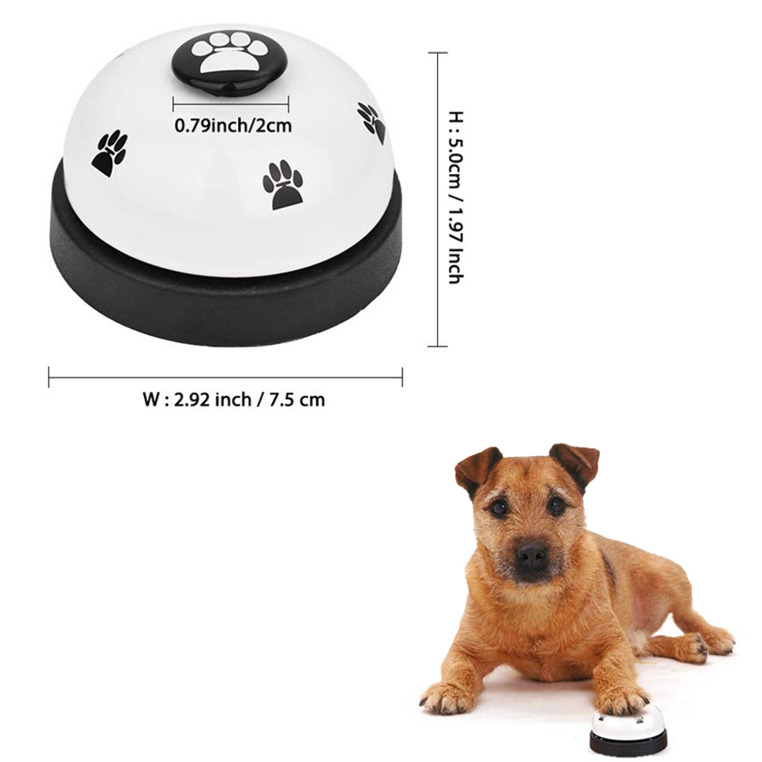 potty training small dogs