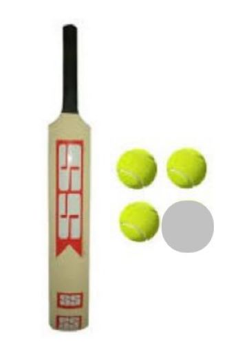 CRICKET BAT with 3 balls / Softball cricket Bat
