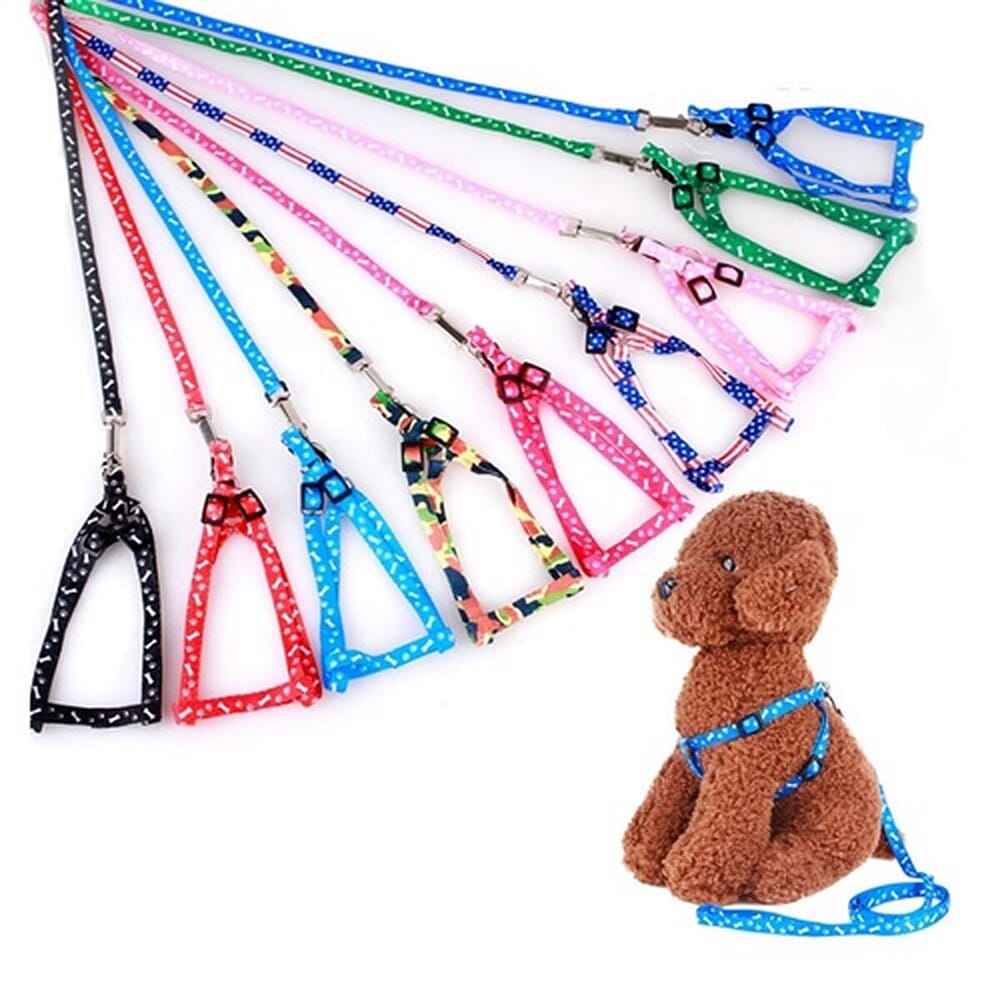 Leashes, Collars & Muzzles at Best Price in Sri Lanka Rs.150 OFF!