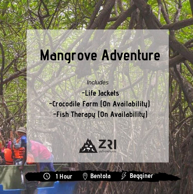 Bentota - Mangrove Adventure - Per Person (Min 4 Pax). 