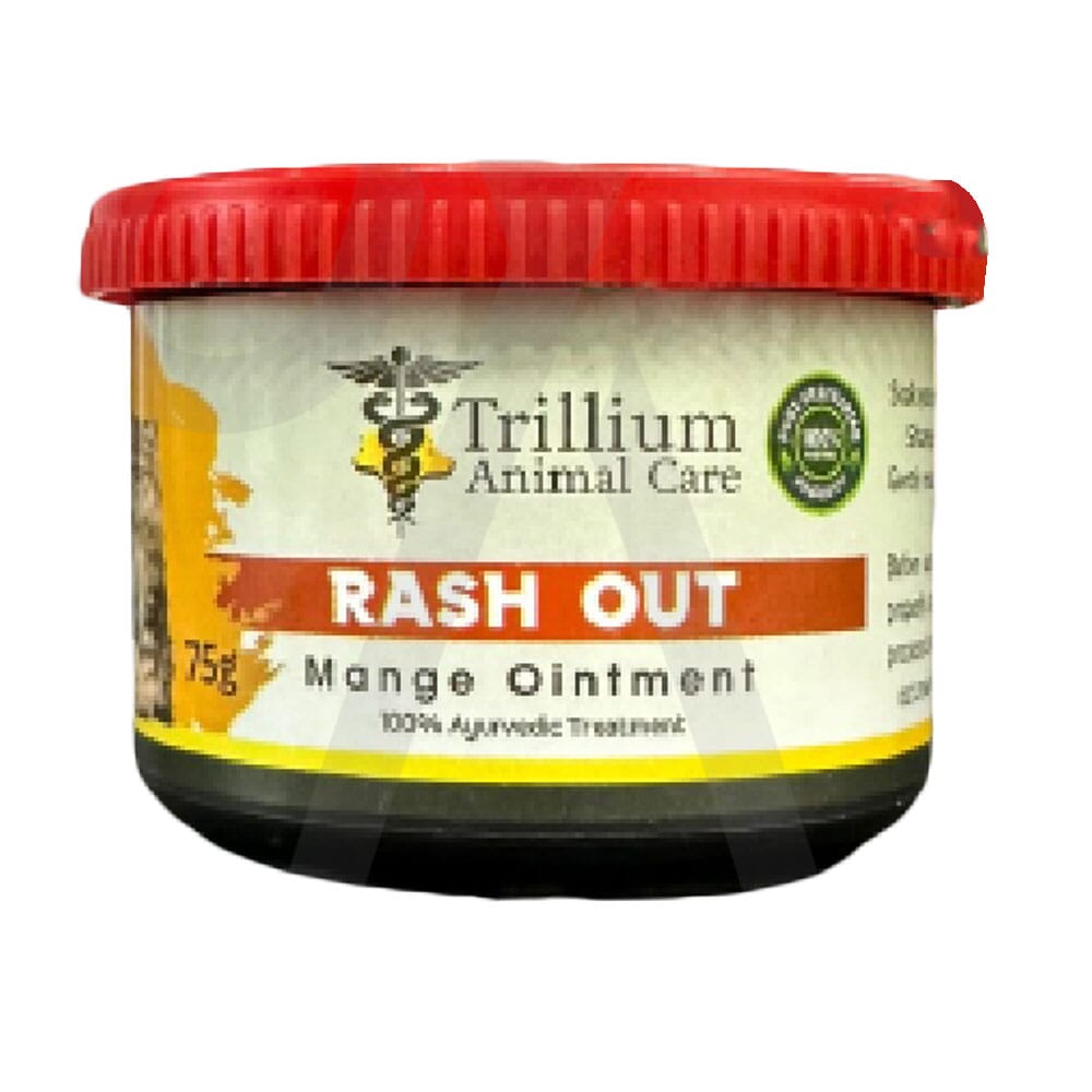 Buy Dog Grooming Supplies in Sri Lanka Dog Grooming Supplies Price