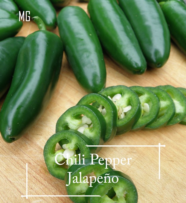 Organic Jalapeno Pepper Seeds - 30 seed *Pot Friendly* - Organic Seeds, Self Harvest, Pesticide Free - Mango Garden. 