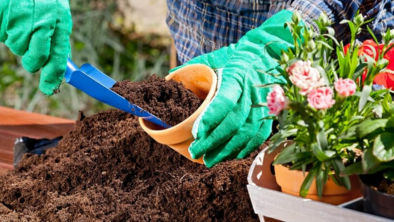 coco peat 5kg bag. 