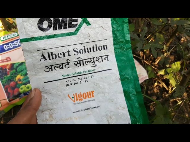 Albert solution for lotus flowers   50g pack