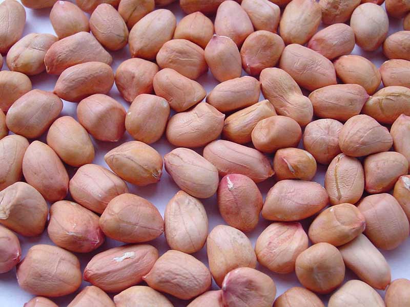 High Quality, Dried, Raw Peanut, 500g. 