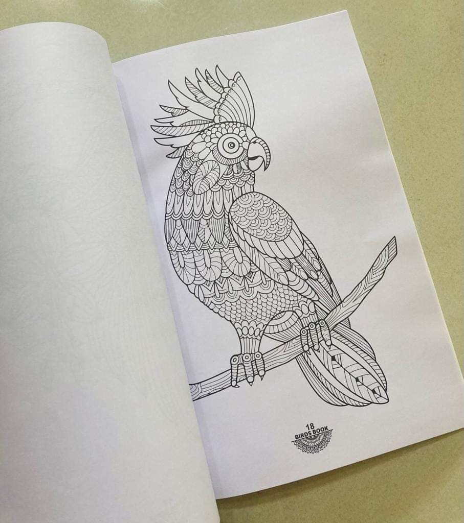 Mandala Coloring Books for Kids & Adults. 