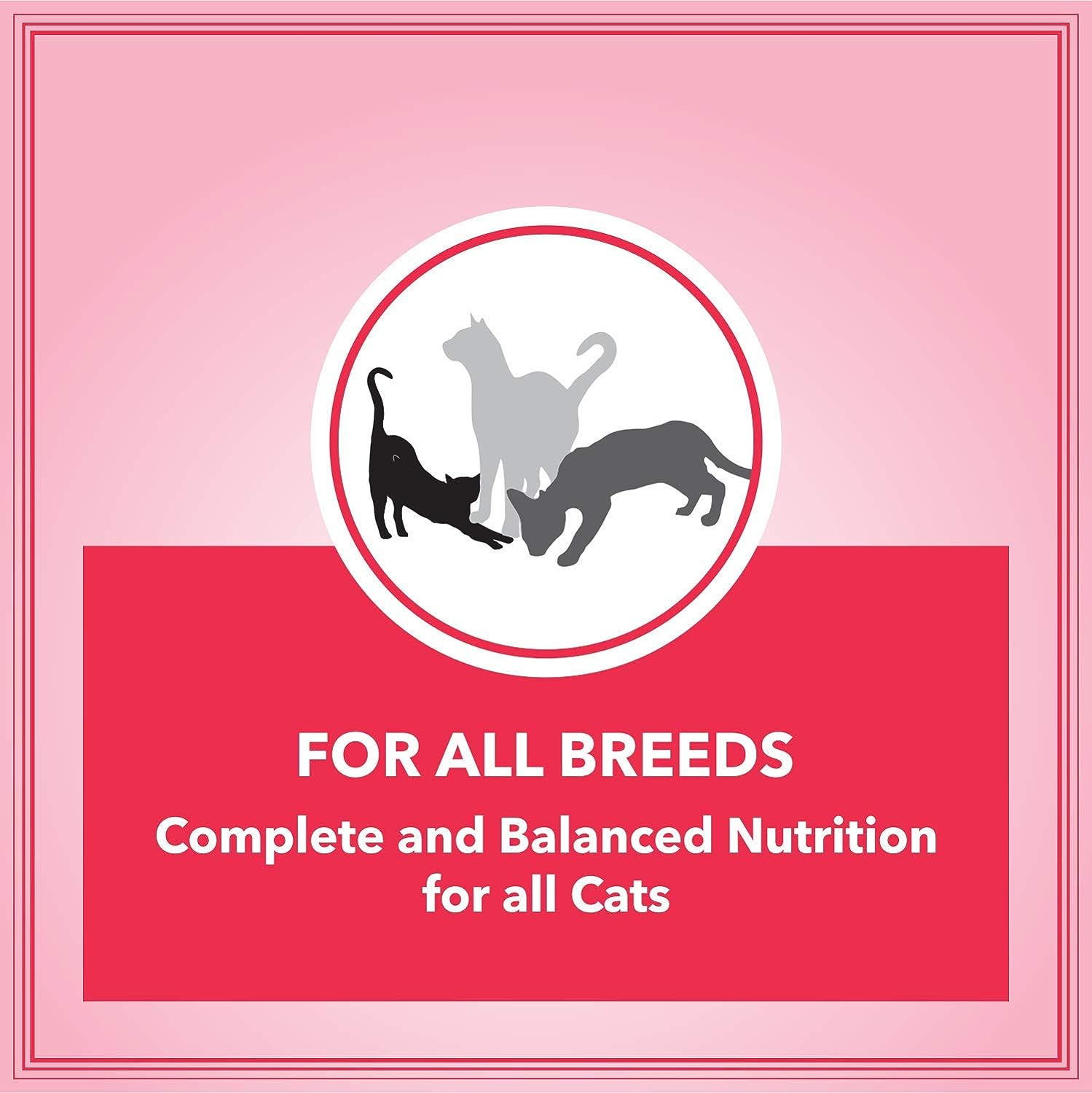 Let's Bite Active cat Food for Adults (400G X 4 Packs). 
