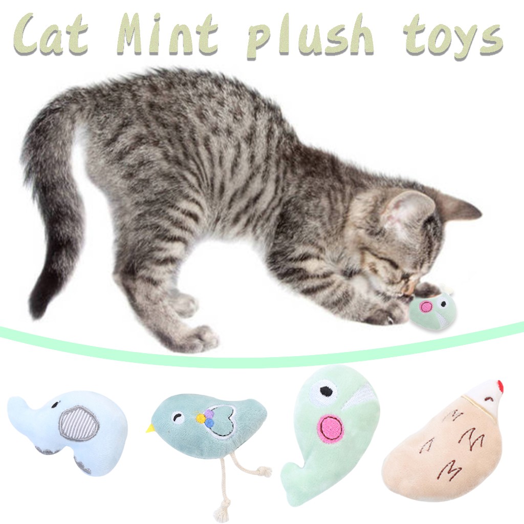 mint cat toy