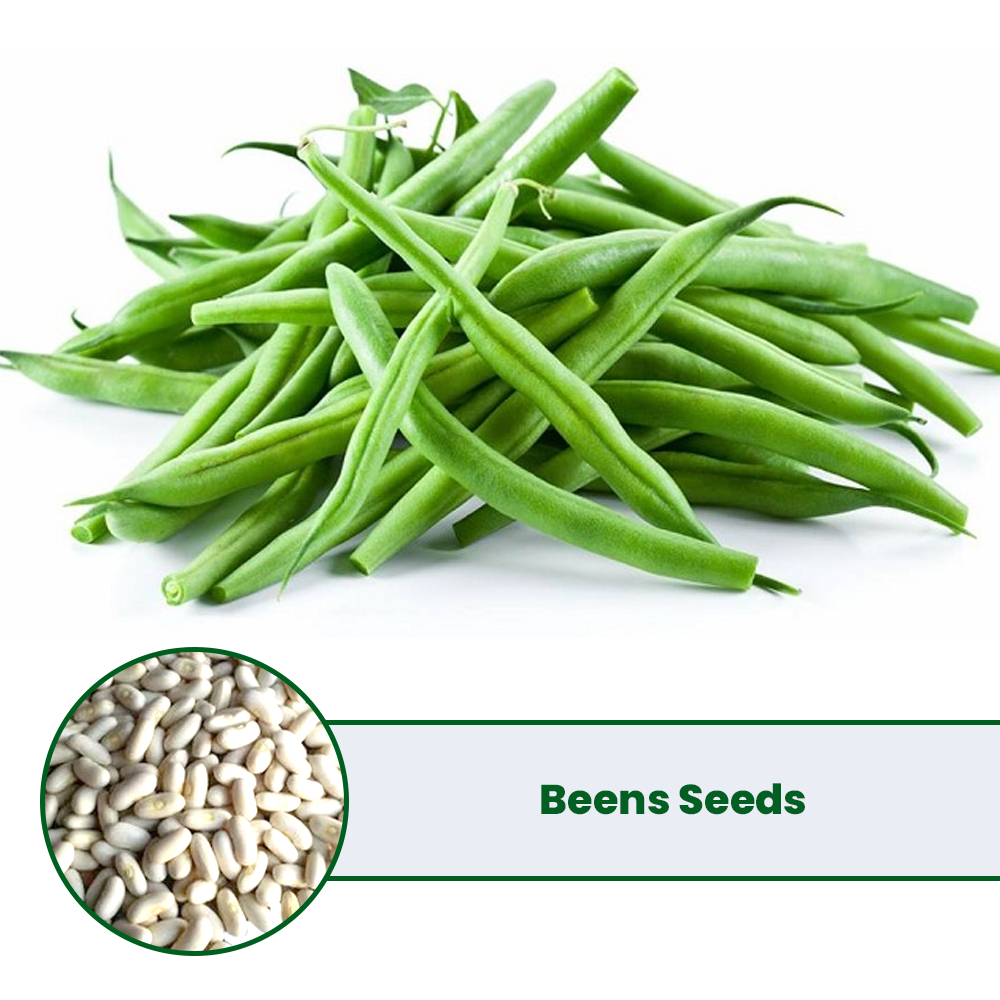 Beens Seeds 3g - High Quality Premium Seeds
