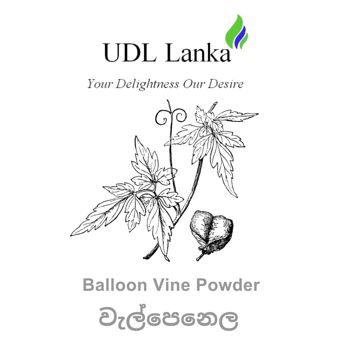 Welpenela Powder / Balloon Vine Powder / Wel Penela Powder - 100 g. 