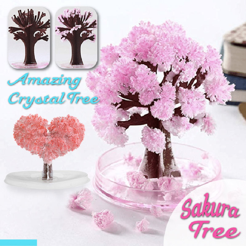 Growing Tree Paper Sakura Crystal Trees Desk Cherry Blossom Toys Xobw. 