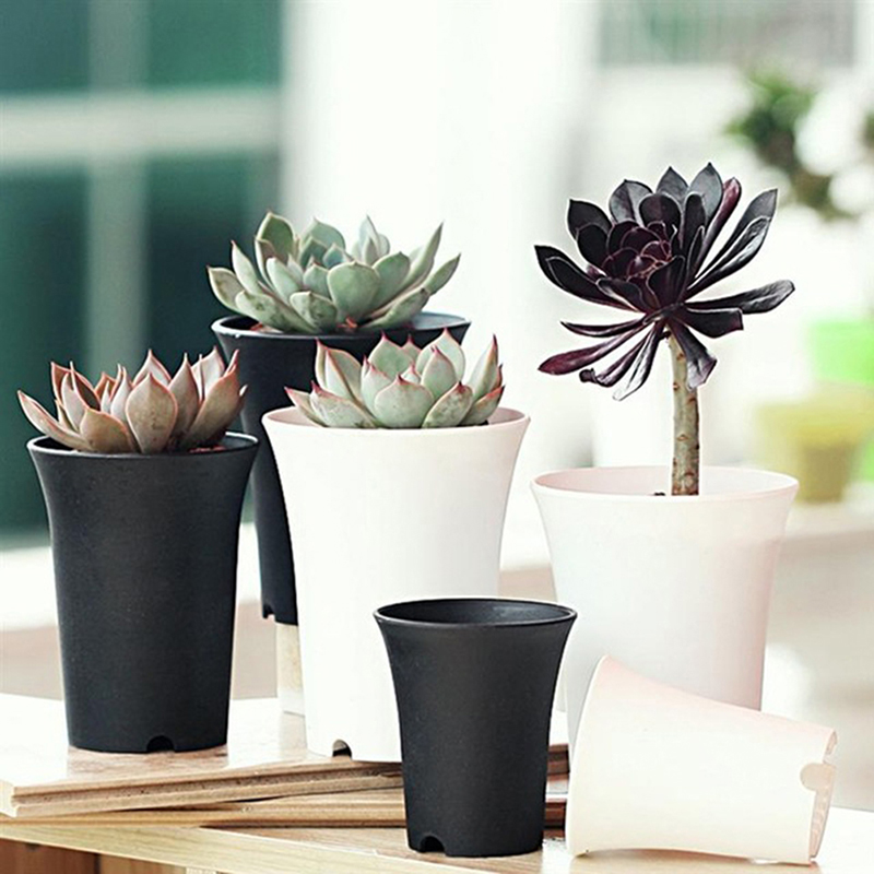 The New 1pcs Special Succulents Pot 絶妙なデザイン