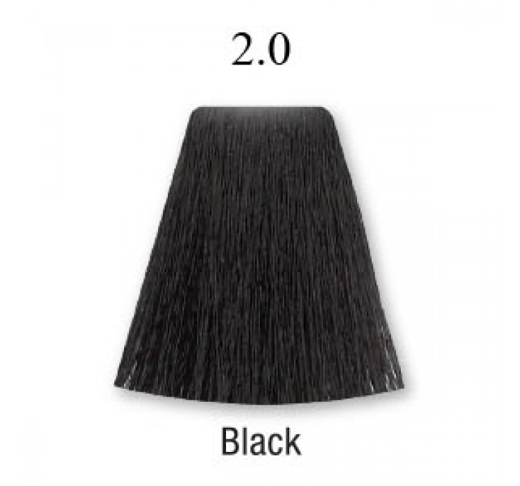 Bellose Permanent Hair Color 1.0 Black 60ml + Developer 6% 20 Volume. 