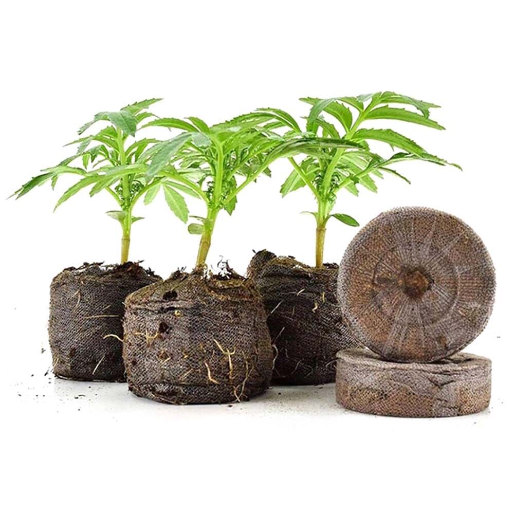 Coco Pellets/Coco Disc/Coco Plug 20pcs set Growing Medium Jiffy coco Peat (50mm) Seeds Planting Anthurium Flower. 