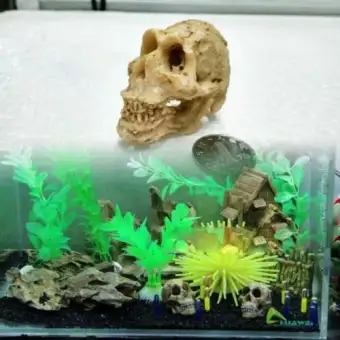 Skull Decoration Aquarium Fish Tank Landscape Decoration Ornament