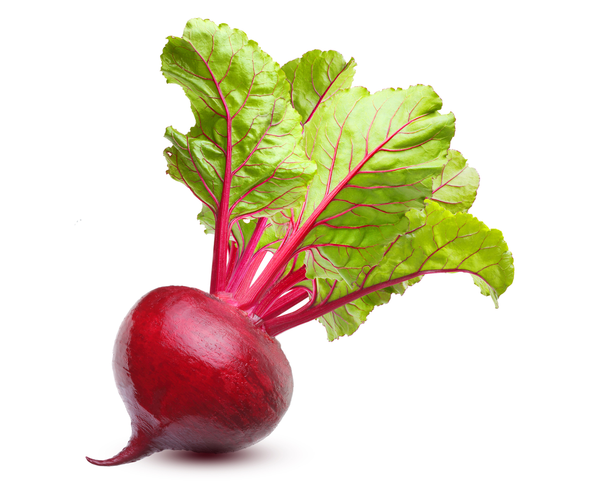 Beans, Cabbage, Leeks , nocall , Beet Root, Capsicum, Green Chilli Seeds 100% high quality seeds for home gardening...... 
