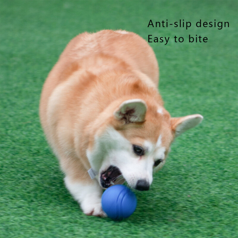 Pet Dog Bouncy Ball Bite-resistant Rubber Toy Dog Chew Toys Outdoor Throwing Training For Dogs
