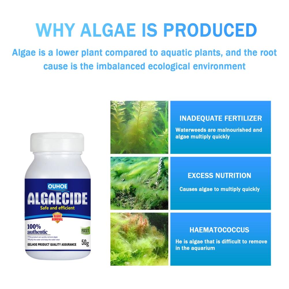 50g Aquarium Algaecide Algae Control Moss Remover for Pond Fish Tank. 