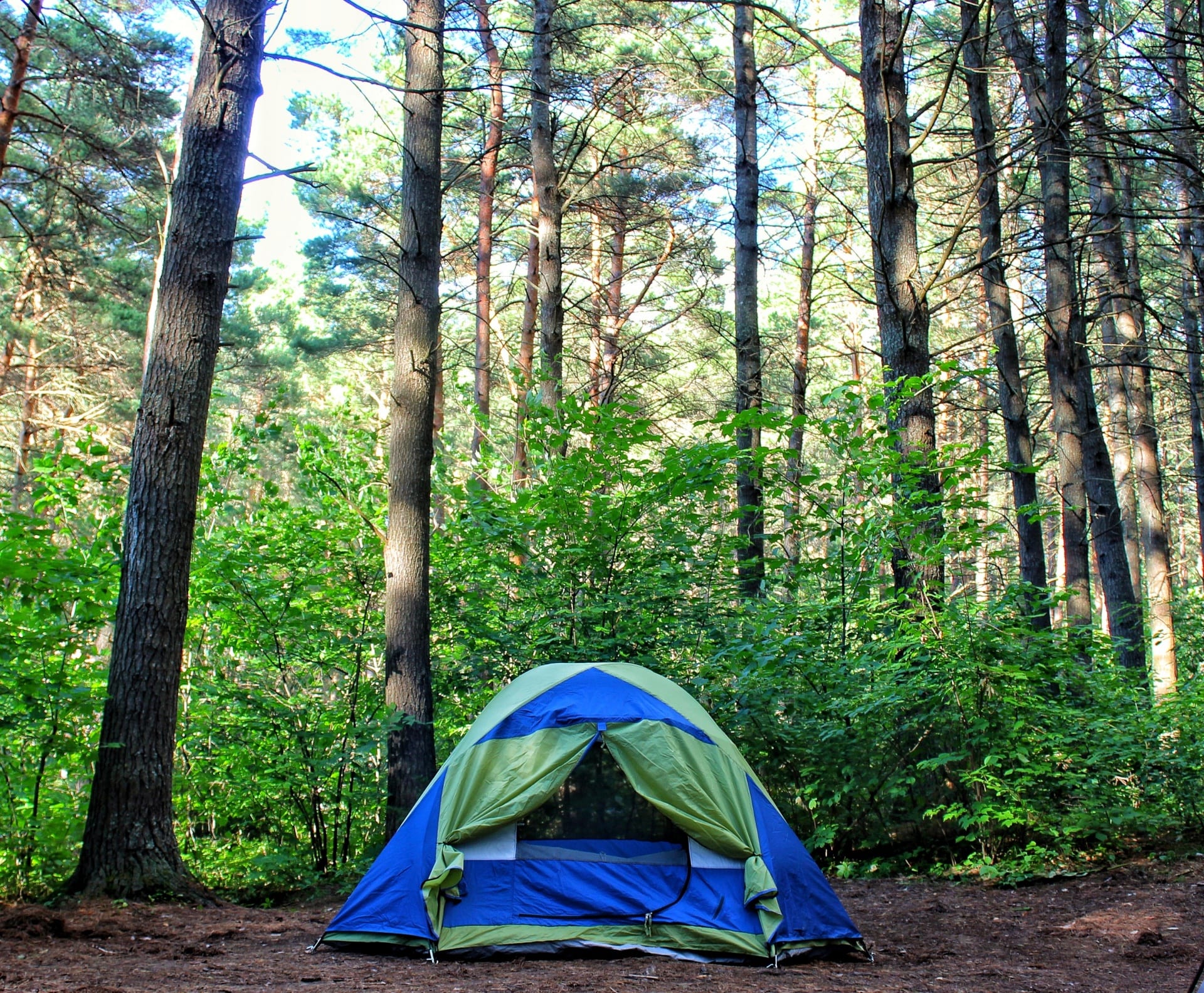 Camping explore. Палаточный лагерь Camp 2050. Селигер палаточный лагерь кемпинг. Палатка в лесу. Туристическая палатка на природе.