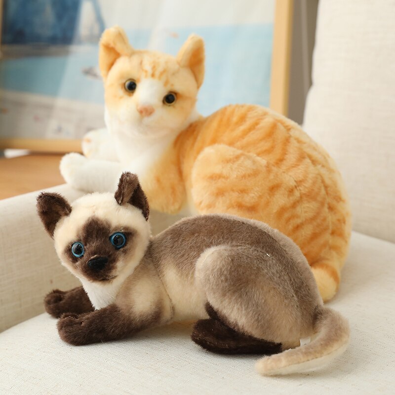 26 30 40cm Cute Cat Plush Pillow Stuffed Soft Animals Cat Plush Toys Birthday Gift For Children Kids Baby Doll Home Decoration Buy Online At Best Prices In Srilanka Daraz Lk