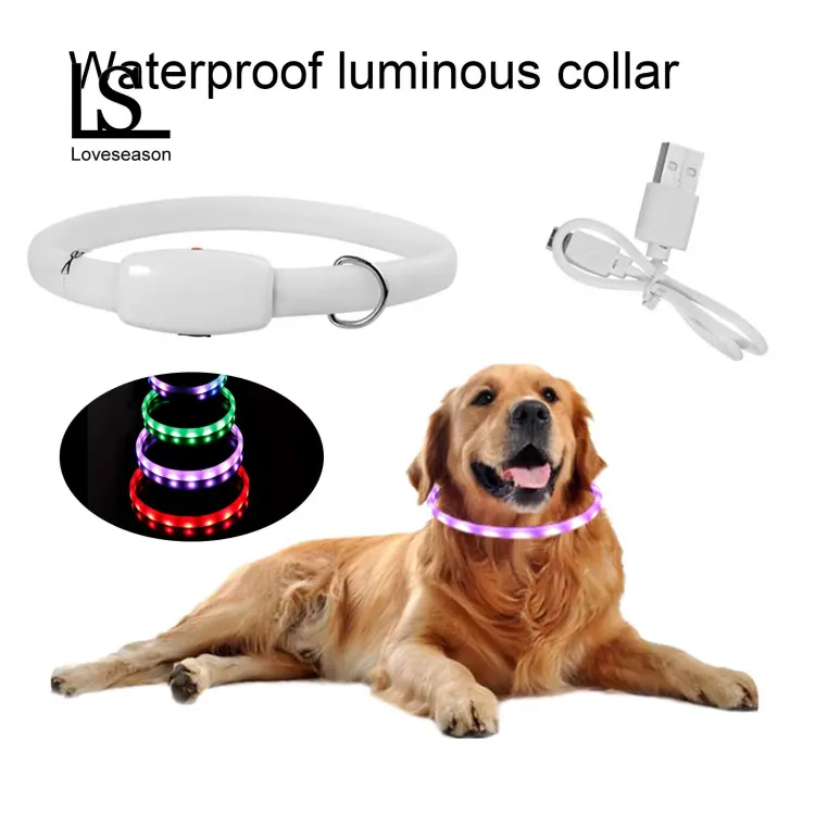 Dog accessories clearance daraz