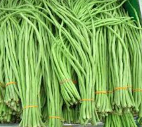 Hawari Me Karal/Hawari Long Beans (Green) Seeds For Home Garden. 