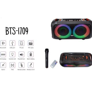 BTS - 1709 DYNAMIC Clean & Big Sound Party Box  Outdoor With Wireless Mic. 