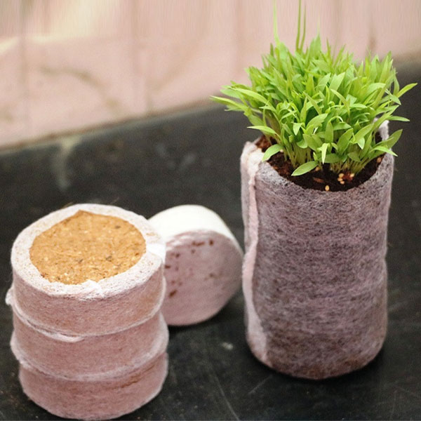 Coco Pellets/Coco Disc/Coco Plug 20pcs set Growing Medium Jiffy coco Peat (50mm) Seeds Planting Anthurium Flower. 