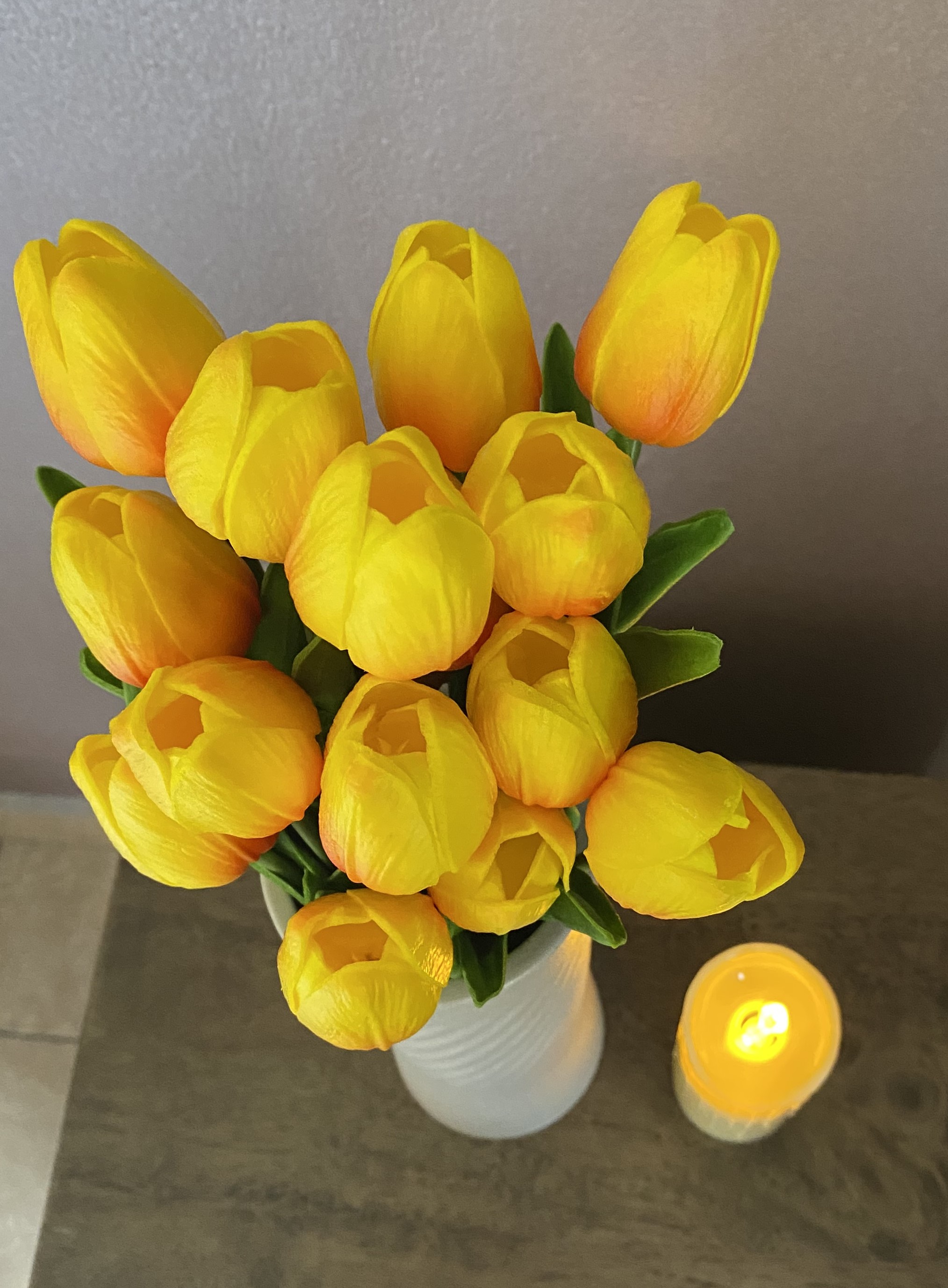 Tulip Flowers. 