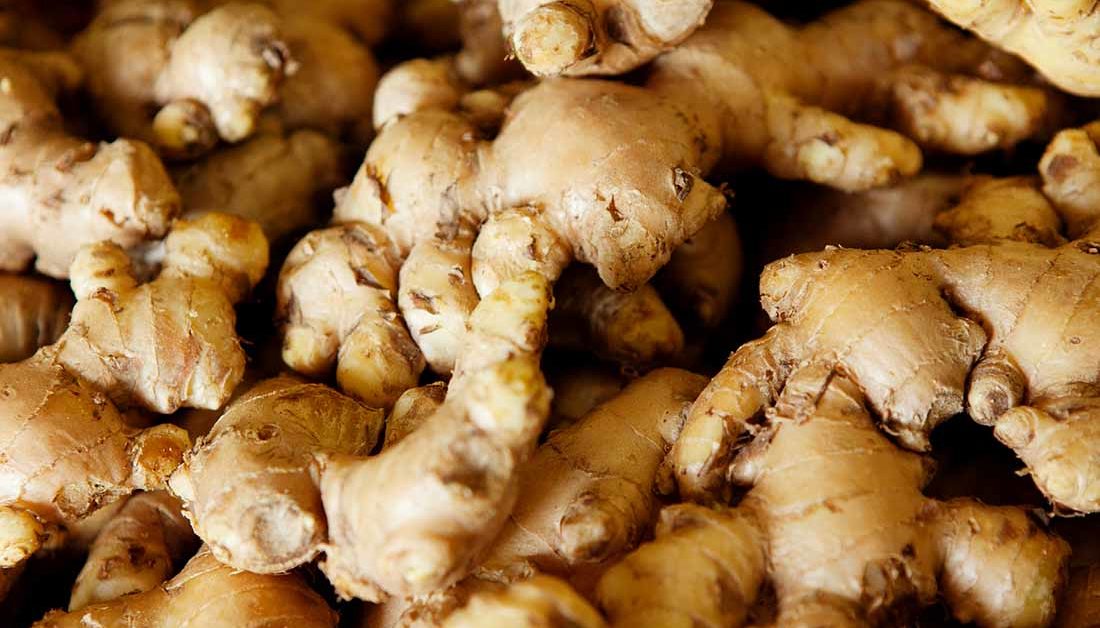 உங்களுக்கான கனவுகளும் பலன்களும் பகுதி 54 4 Fresh Ginger: Buy Sell Online @ Best Prices in SriLanka | Daraz.lk