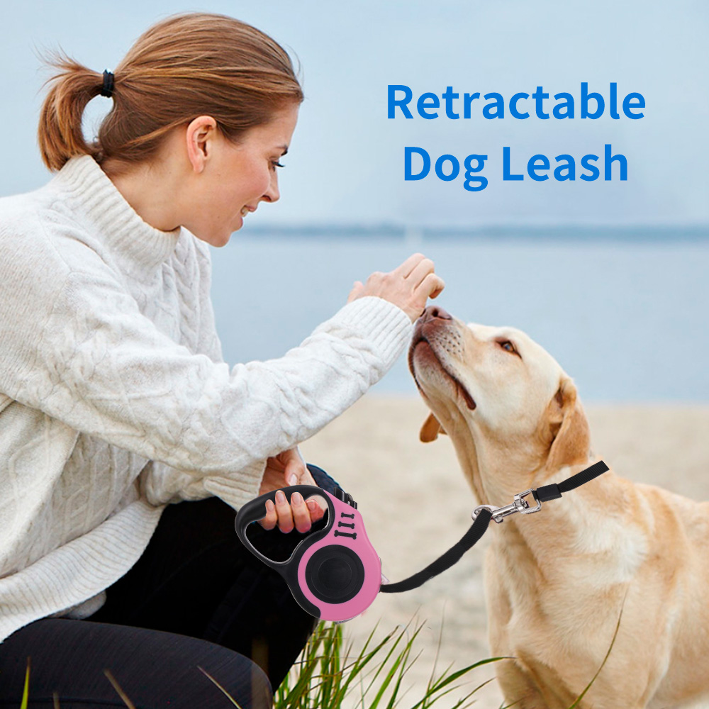 dog resisting leash