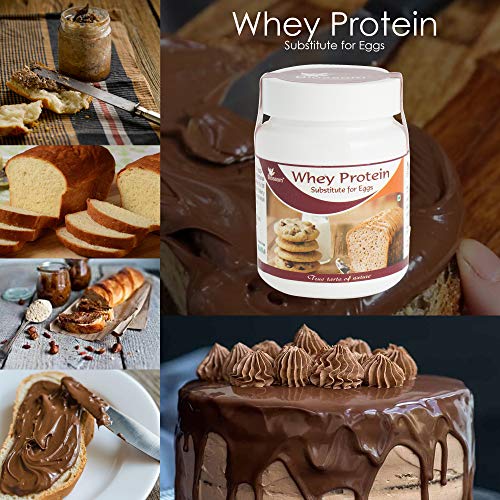 BLOSSOM Whey Protein for Baking & Breads Eggs Substitute, 75 gm(FROM INDIA) NUSS. 