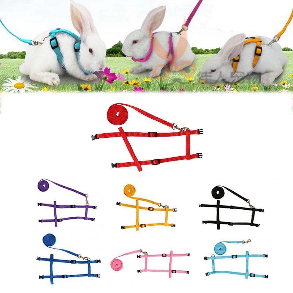 YORKI Soft Adjustable Harness Belt Guinea Pig for Running Walking Bunny Leads Pet Traction Small Pet Leads Rabbit Harness Leash. 