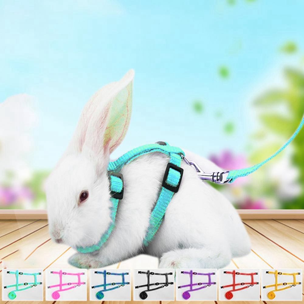 YORKI Soft Adjustable Harness Belt Guinea Pig for Running Walking Bunny Leads Pet Traction Small Pet Leads Rabbit Harness Leash. 